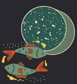 Pisces new moon