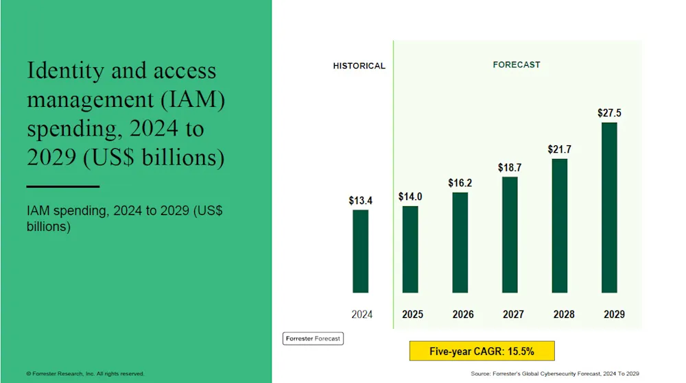 IAM Market Size
